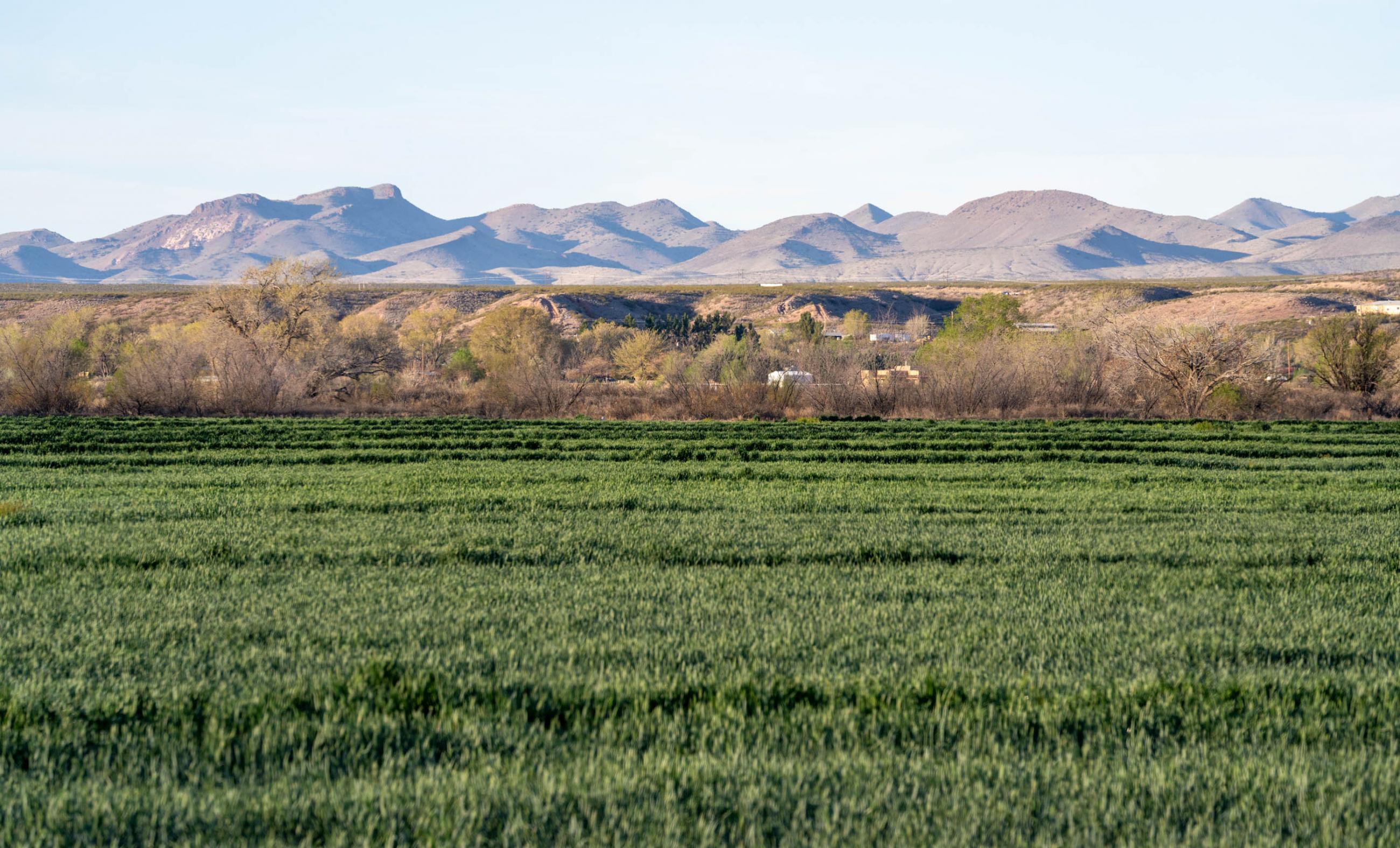 Mercer Farm Chas S. Middleton